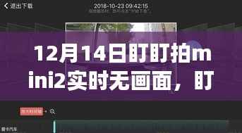 爱的纽带,盯盯拍mini2失灵之际,虚拟与现实的交汇点