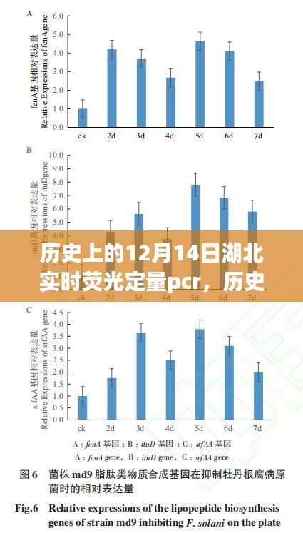 历史上的12月14日湖北实时荧光定量PCR技术深度探讨与探讨日湖北实时荧光定量PCR技术进展纪实