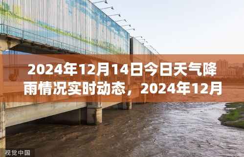 雨幕下的城市景象,实时解析2024年12月14日降雨动态