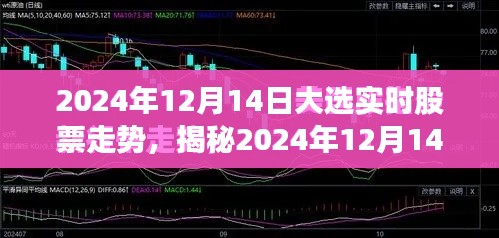 揭秘,2024年大选背后的股票走势深度解析与实时动态预测(实时更新至2024年12月14日)