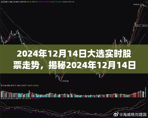 揭秘,2024年大选背后的股票走势深度解析与实时动态预测(实时更新至2024年12月14日)