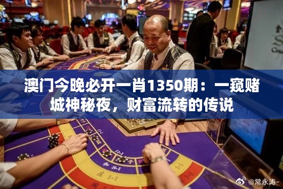 澳门今晚必开一肖1350期:一窥赌城神秘夜,财富流转的传说