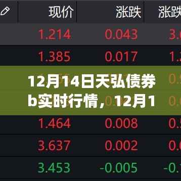12月14日天弘债券B实时行情详解,从入门到进阶的分析指南