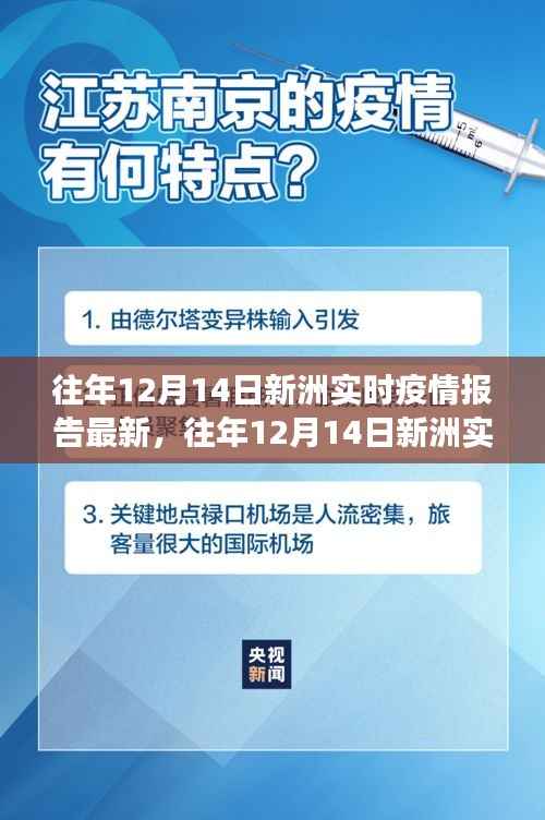 往年12月14日新洲实时疫情报告最新动态,共筑健康防线