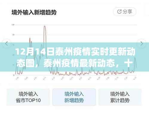 泰州疫情最新动态解读,实时更新数据(十二月十四日)