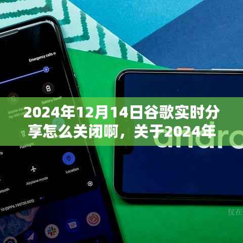 关于谷歌实时分享关闭方法的探讨与论述,如何在特定日期(如2024年12月14日)关闭谷歌实时分享功能