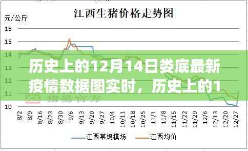 历史上的12月14日娄底最新疫情数据实时解读,特性、体验与目标用户分析全解析
