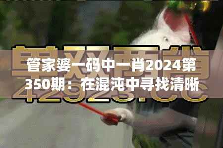 管家婆一码中一肖2024第350期:在混沌中寻找清晰的答案