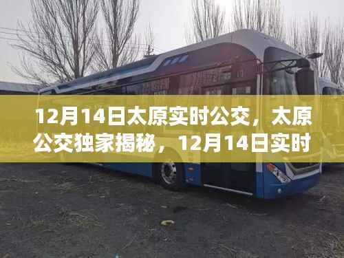 太原公交独家揭秘,12月14日实时公交动态与出行攻略大解析!