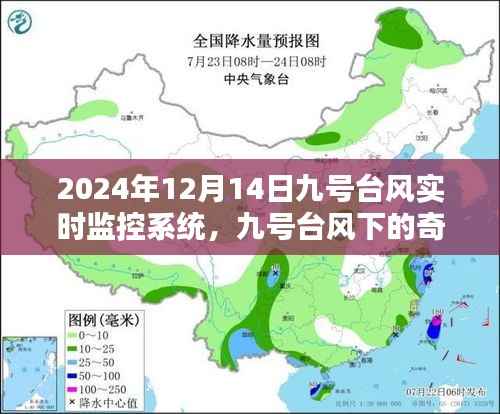 九号台风下的奇妙探险,实时监控系统记录与自然美景共舞的日子