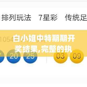 白小姐中特期期开奖结果,完整的执行系统评估_增强版17.197