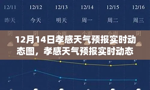 孝感天气预报实时动态图解读,天气变化与个人生活的双刃剑效应