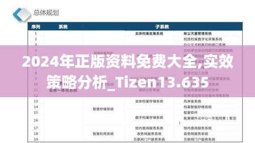 2024年正版资料免费大全,实效策略分析_Tizen13.635