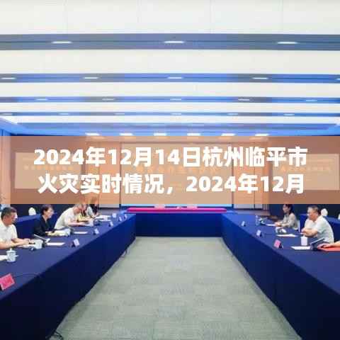 独家解析,临平市火灾实时情况全面报道