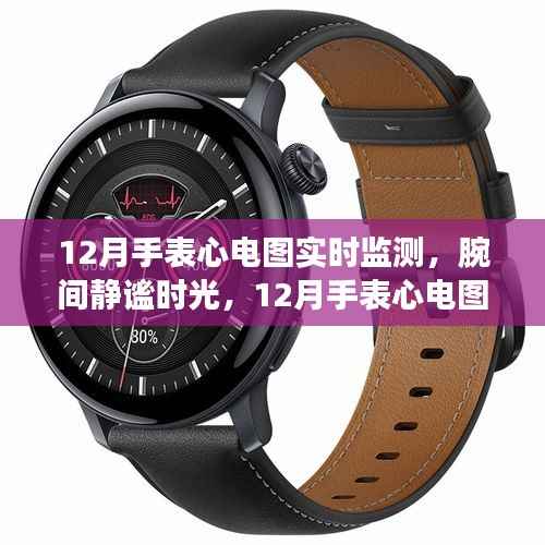 12月手表心电图监测,静谧时光中的自然探索之旅
