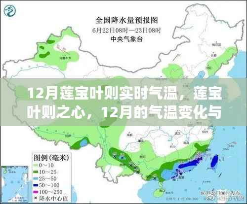 莲宝叶则之心,十二月气温下的自我超越励志之旅