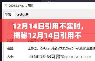揭秘,12月14日引用背后的真相探索之旅(小红书带你揭秘)