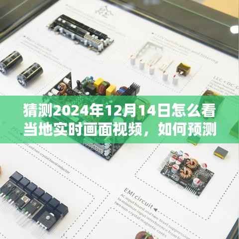 如何预测并观看2024年12月14日当地实时画面视频,初学者与进阶用户指南