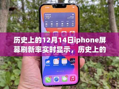 深度探讨,历史上的12月14日iPhone屏幕刷新率实时显示技术揭秘