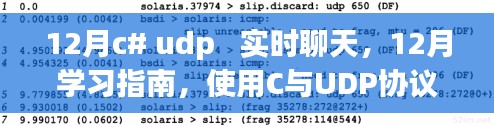 12月学习指南,使用C与UDP协议构建实时聊天应用