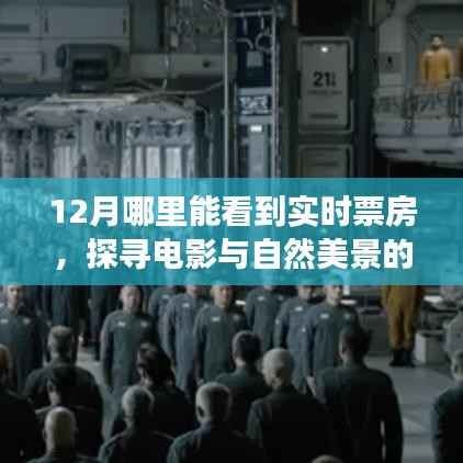 十二月追寻实时票房奇迹,电影与自然美景交融的圣地