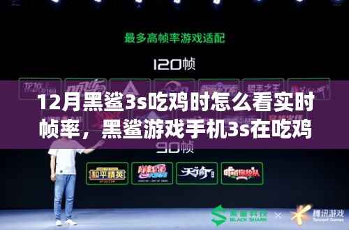 黑鲨游戏手机3s吃鸡实时帧率体验与评测,流畅度一览