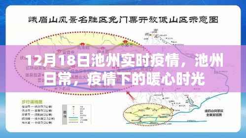 池州实时疫情更新,暖心时光下的日常观察