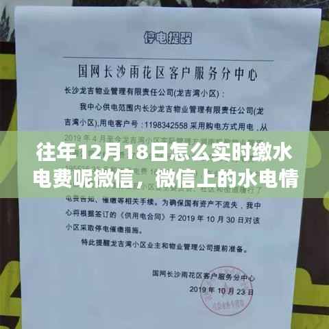 微信水电情缘,缴费日的温馨故事与实时缴费指南