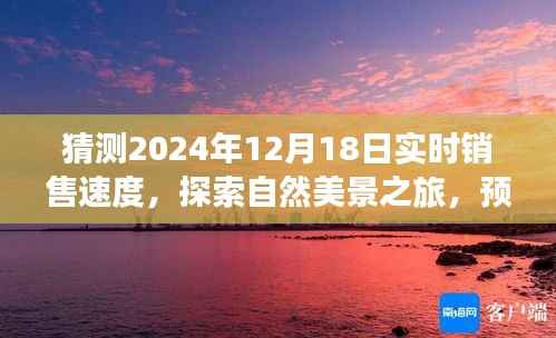 『探索未来销售奇迹,预测2024年实时销售速度,心灵之旅感受自然美景的魅力』