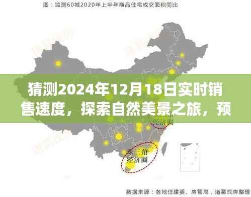 『探索未来销售奇迹,预测2024年实时销售速度,心灵之旅感受自然美景的魅力』