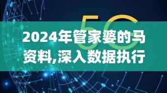 2024年管家婆的马资料,深入数据执行计划_VR4.318