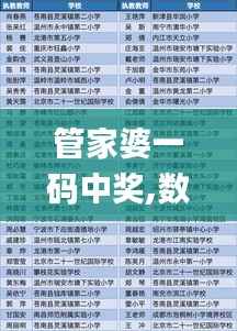 管家婆一码中奖,数据驱动方案实施_限定版1.620