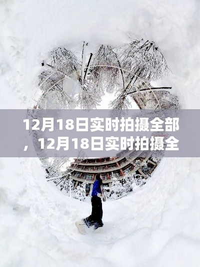 12月18日实时拍摄,全景捕捉季节之美的独特瞬间