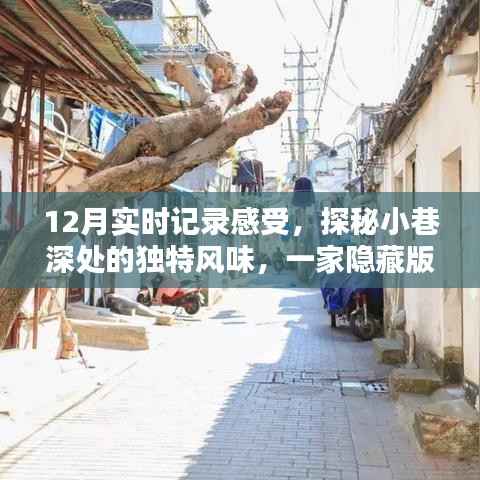 探秘小巷深处的隐藏特色小店,十二月实时记录感受