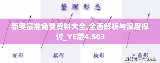 新奥最准免费资料大全,全面解析与深度探讨_YE版4.503