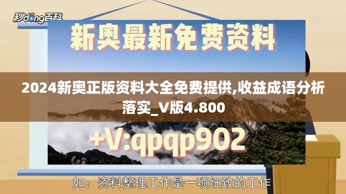 2024新奥正版资料大全免费提供,收益成语分析落实_V版4.800