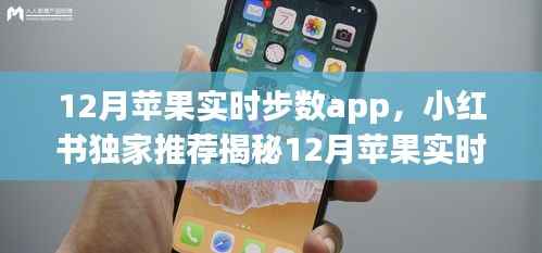 揭秘独家推荐,小红书推荐的苹果实时步数app,轻松掌握每日行走足迹的秘密!