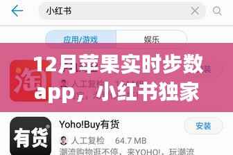 揭秘独家推荐,小红书推荐的苹果实时步数app,轻松掌握每日行走足迹的秘密!