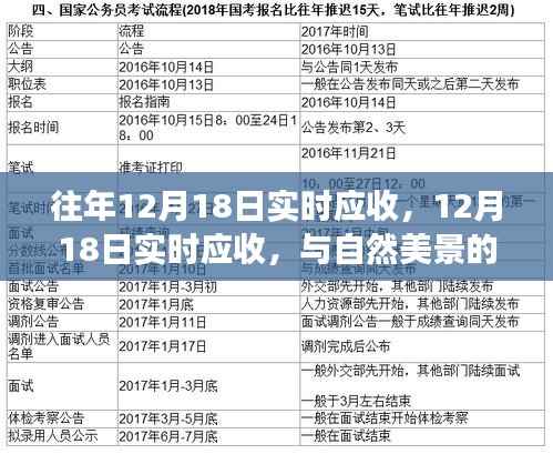 与自然美景邂逅,寻找内心平静的旅程,往年与实时应收的启示