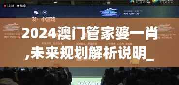 2024澳门管家婆一肖,未来规划解析说明_Phablet18.293