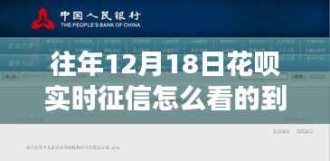 如何查看往年12月18日花呗实时征信?详细步骤解析!