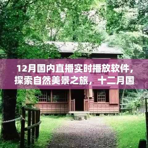 十二月国内直播实时播放软件,带你探索自然美景,寻找内心的宁静与平和之旅