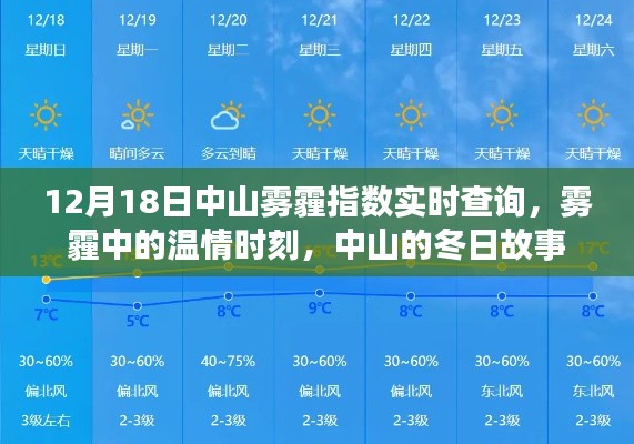 继晷焚膏 第3页