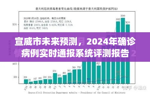 宣威市未来预测及实时通报系统评测报告,2024年确诊病例动态分析展望