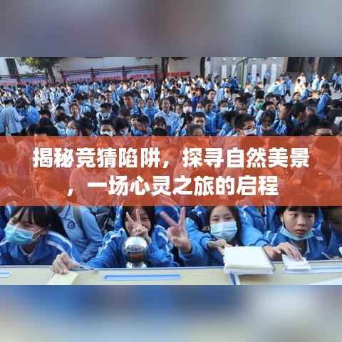 揭秘竞猜陷阱与探寻自然美景,心灵之旅的启程