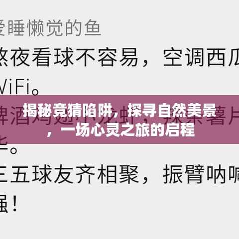 揭秘竞猜陷阱与探寻自然美景,心灵之旅的启程