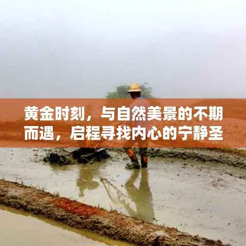 启程寻找黄金时刻的自然美景,探寻内心宁静圣地