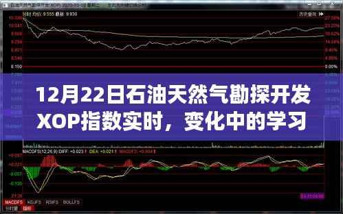 12月22日石油天然气勘探开发XOP指数实时变化,信心与成就闪耀的学习之路