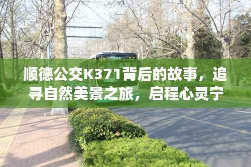 顺德公交K371背后的故事,追寻自然美景与心灵宁静之旅