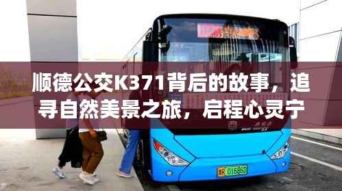 顺德公交K371背后的故事,追寻自然美景与心灵宁静之旅